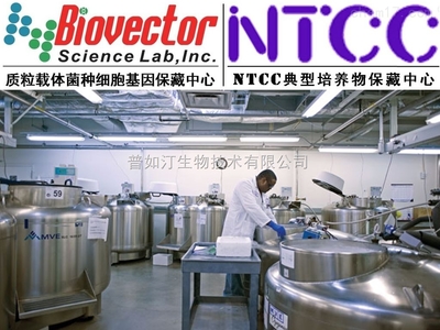 pAAV2/5載體系統(tǒng)技術開發(fā)與供應趨勢分析